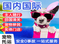 赤峰机场托运国际宠物托运 【国